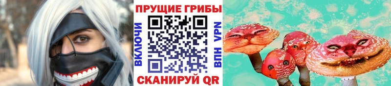 Купить  Гусев  Псилоцибиновые грибы MAGIC MUSHROOMS 