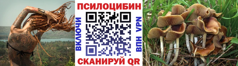 Псилоцибиновые грибы GOLDEN TEACHER Гусев